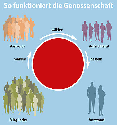 So funktioniert die Genossenschaft: Die Mitglieder wählen Vertreter. Die Vertreter wählen den Aufsichtsrat. Der Aufsichtsrat bestellt den Vorstand.